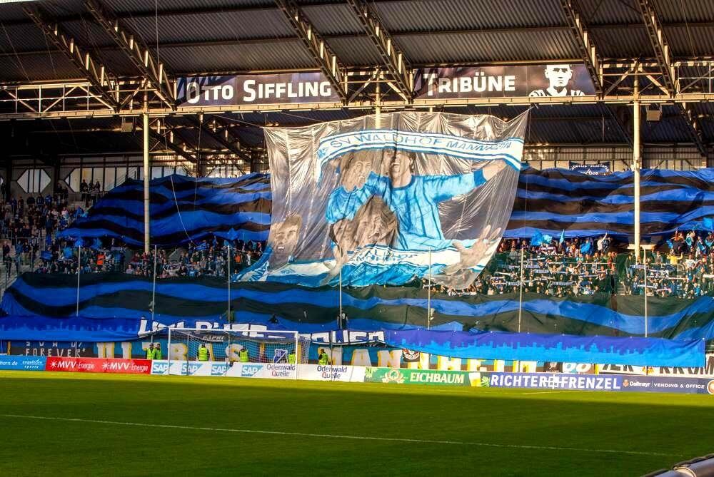 Der Blick geht nach vorn, Irritationen beim SV Waldhof ausgeräumt