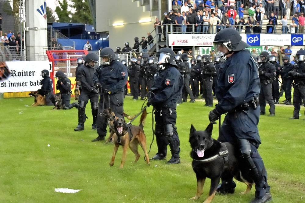 Stellungnahme zu den Vorkommnissen nach Spielende bei der Partie SV Meppen-SVW