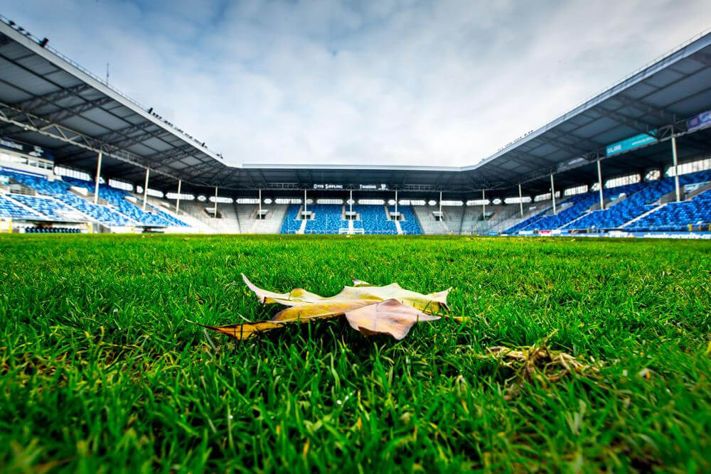 Auswärtsspiel des SV Waldhof beim TSV 1860 München ist abgesagt