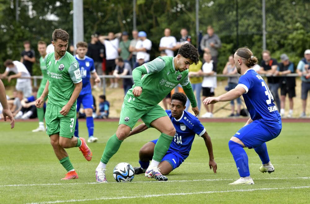 3.Liga: Der SV Sandhausen zählt zu den Topfavoriten auf den Aufstieg
