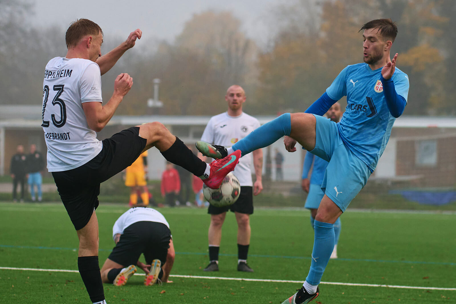 Vorschau 27. Spieltag Landesliga Rhein-Neckar 2025/2026